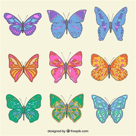 Page 20 | Clipart Moths Images - Free Download on Freepik