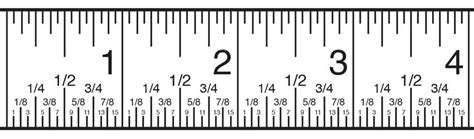 Ruler With Inches And Fractions