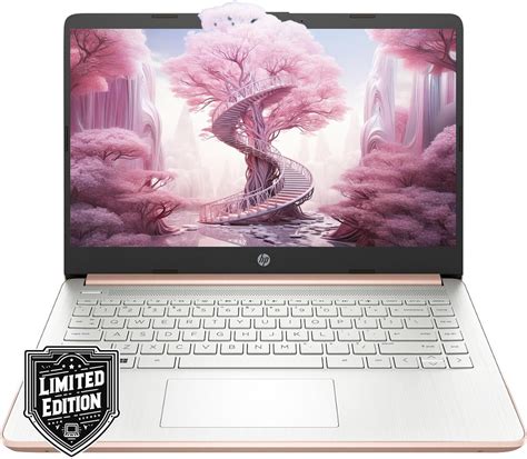 Amazon.com: HP Laptop (Rose Gold, 32GB RAM | 640GB Storage) : Electronics