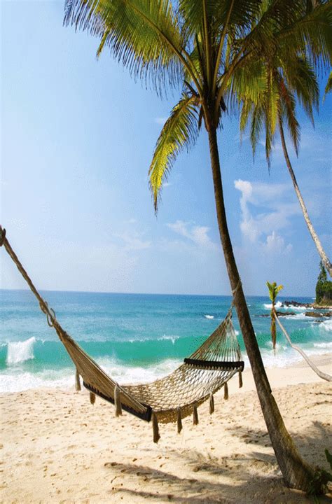 Tropical beach scenery 2 on Make a GIF | Beach hammock, Hammock, Vacation