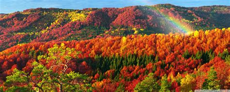 Best Places to See Fall Foliage Ultra HD Desktop Background Wallpaper ...