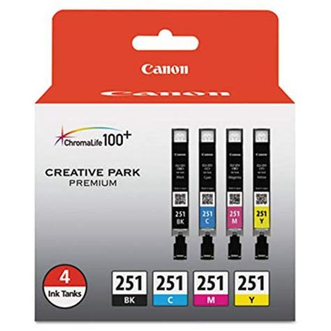 Canon CNM6513B004 6513B004 CLI-251 ChromaLife100 Ink - Walmart.com