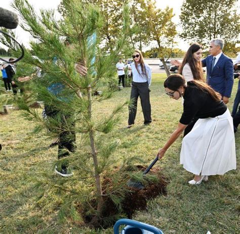 Tree-Planting Campaign Held In“Ganjlik” Park In Baku