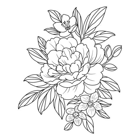 flowers drawing with lineart on white backgrounds. | Flower drawing ...