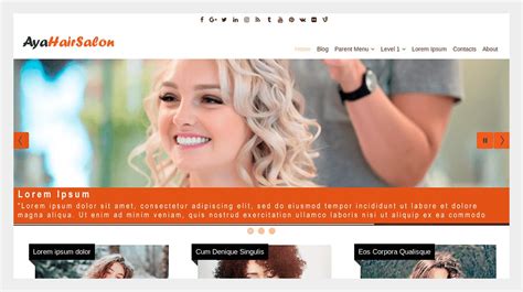 21+ Best Hair Salon WordPress Themes - WP Builder Hub
