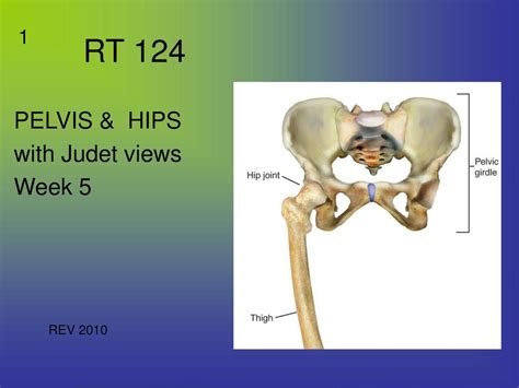 PELVIS & HIPS with Judet views Week 5 - ppt download