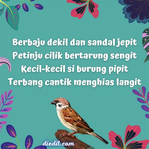 15 Pantun Burung Pipit Jenaka Penuh Nasihat | diedit.com