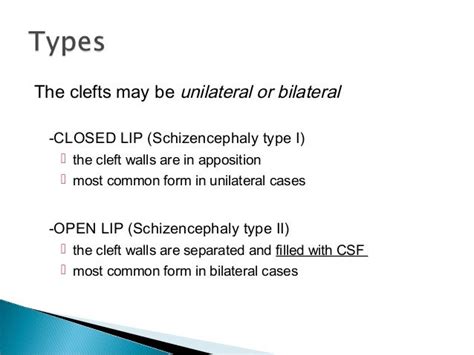 1.schizencephaly 2.holoprosencephaly 3.porencephaly