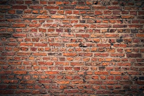 Brick Wall Wallpaper | Wallsauce AU