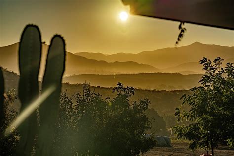 Mexico Wine Country Ensenada Photograph by Tommy Farnsworth