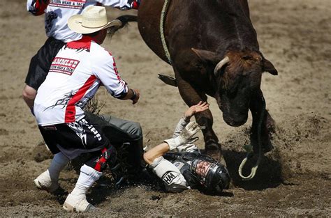 Death of bull rider Ty Pozzobon spurs push for standardized concussion ...