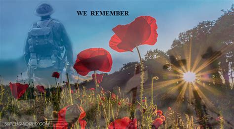 Remembrance and Veterans Day – In Flanders Fields | 50+ World - 50+ World