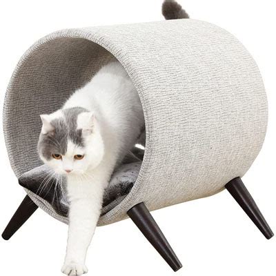 Raised And Elevated Cat Beds You And Your Kitty Will Love! – Meow As Fluff