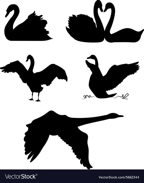 Swan silhouettes Royalty Free Vector Image - VectorStock