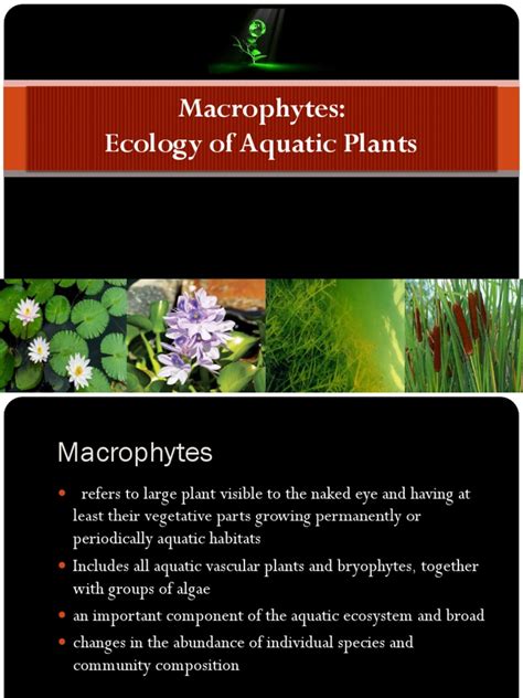 Macrophytes: Ecology of Aquatic Plants | PDF | Environmental Science | Earth Sciences