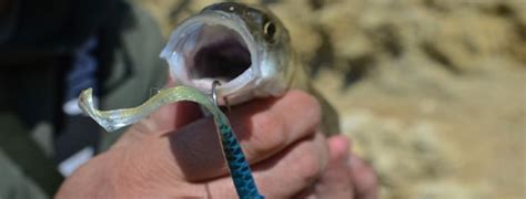 Large Mouth Bass Lures - When To Use? - Fishing Form