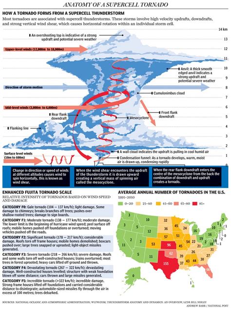 Graphic: Anatomy of a supercell tornado | Illustrations & Infographics | Pinterest