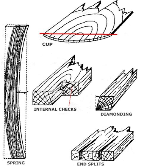 wood-defects-2 - Davids Timber