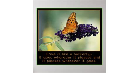 LOVE IS LIKE A BUTTERFLY POSTER | Zazzle