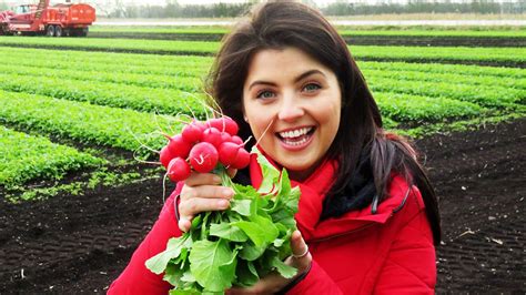 CBeebies iPlayer - Down on the Farm - Series 3: 3. Radishes and Farmers' Market