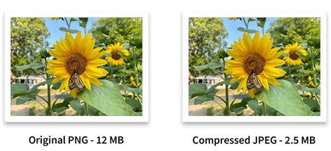 What Is Media File Compression? | CitizenSide