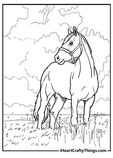 Horse Pictures Coloring Pages