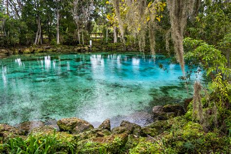 How to Visit Three Sisters Springs Crystal River, Florida