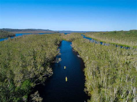 Noosa Everglades Explorer Cruise & Canoe