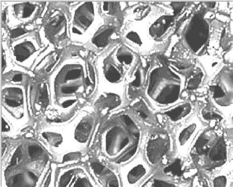 Structure of the cellular material. | Download Scientific Diagram