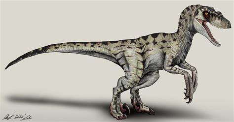 Jurassic Park /// Velociraptor female by NikoRex | Velociraptor jurassic park, Jurassic park ...