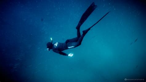 Free Images : ocean, freediving, underwater diving, scuba diving, blue, snorkeling, recreation ...