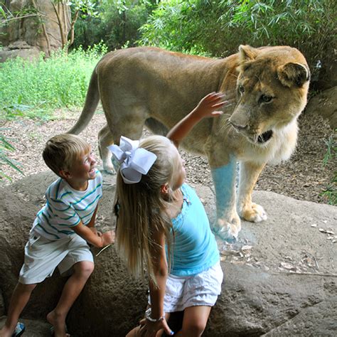 About | Alexandria Zoo