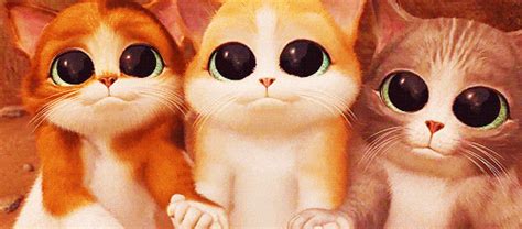 Cat Eye GIFs - Get the best GIF on GIPHY