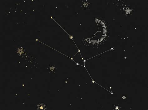 Taurus Constellation by Corina Nika on Dribbble