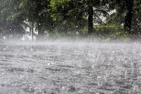 7 dead due to heavy rains in Karachi; PMD predicts more showers for ...