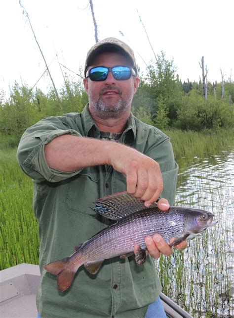 Fly-In Arctic Grayling Fishing Lodge in Saskatchewan Canada