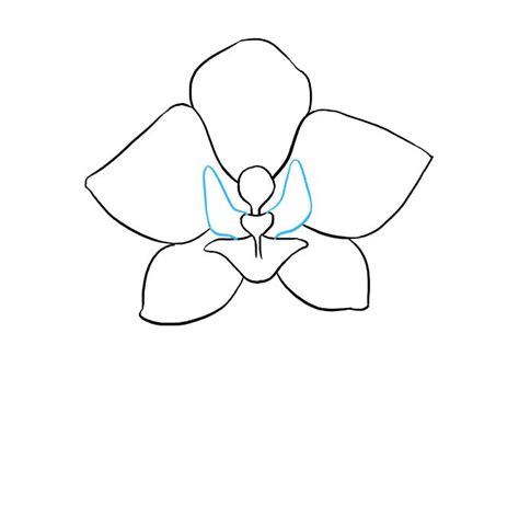 How to Draw a Beautiful Orchid - Really Easy Drawing Tutorial | Easy ...