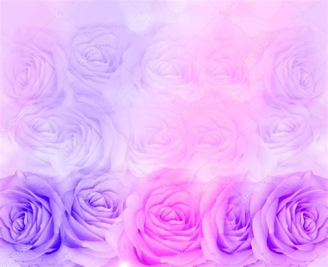 Lavender Roses Background