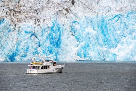 Best Alaska Glacier Cruises Explained: All You Need To Know