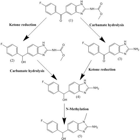 (PDF) Anthelmintic Flubendazole and Its Potential Use in Anticancer Therapy