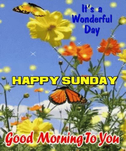 Happy Sunday Good Morning GIF - HappySunday GoodMorning ...