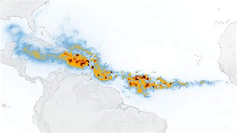 Satellites in Space Spot Largest Seaweed Bloom on Earth | Space