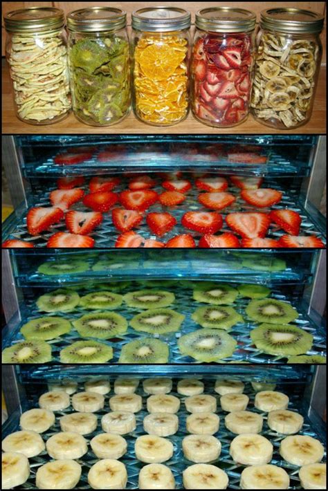 How To Make Your Own Healthy Dehydrated Fruits http://food.ideas2live4.com/recipe/how-to-make ...