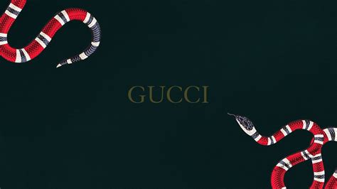 Gucci Wallpaper | Snake wallpaper, Hypebeast wallpaper, Supreme iphone wallpaper