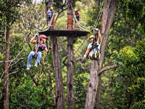 Kohala Zipline - Kohala Canopy Tour - Hawaii Discount