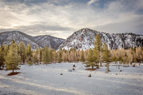 Big Snowy Mountains