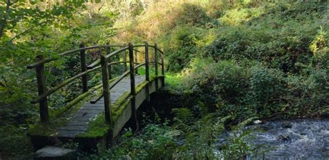 Ceredigion Coast Path celebrates 15 years