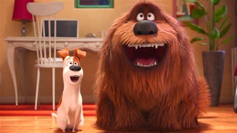 The Secret Life of Pets: Official Clip - Max Meets Duke - Trailers ...