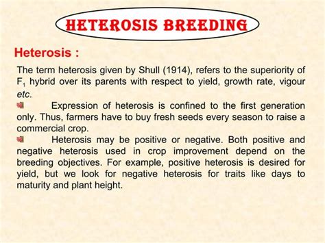 Heterosis Breeding in Rice