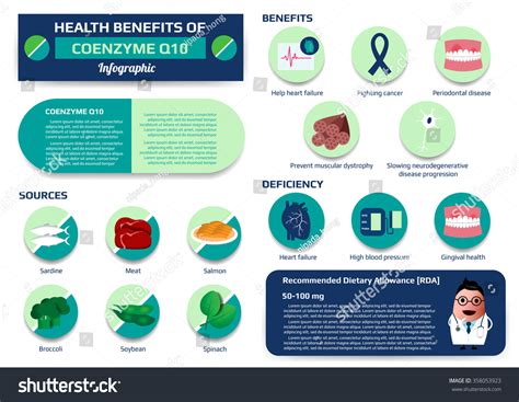 Health Benefits Coenzyme Q10 Infographic Including Stock Vector 358053923 - Shutterstock